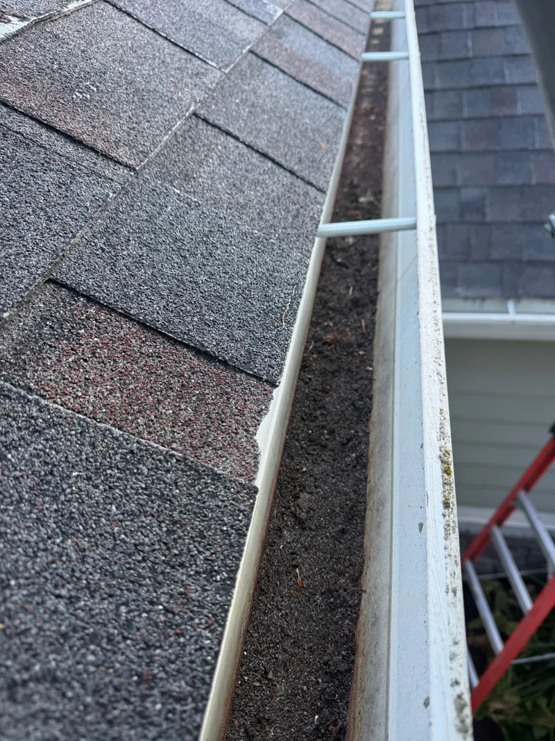 Gutter Cleaning