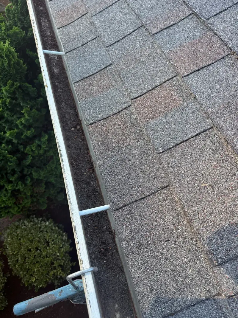 Mesh Guard Installation